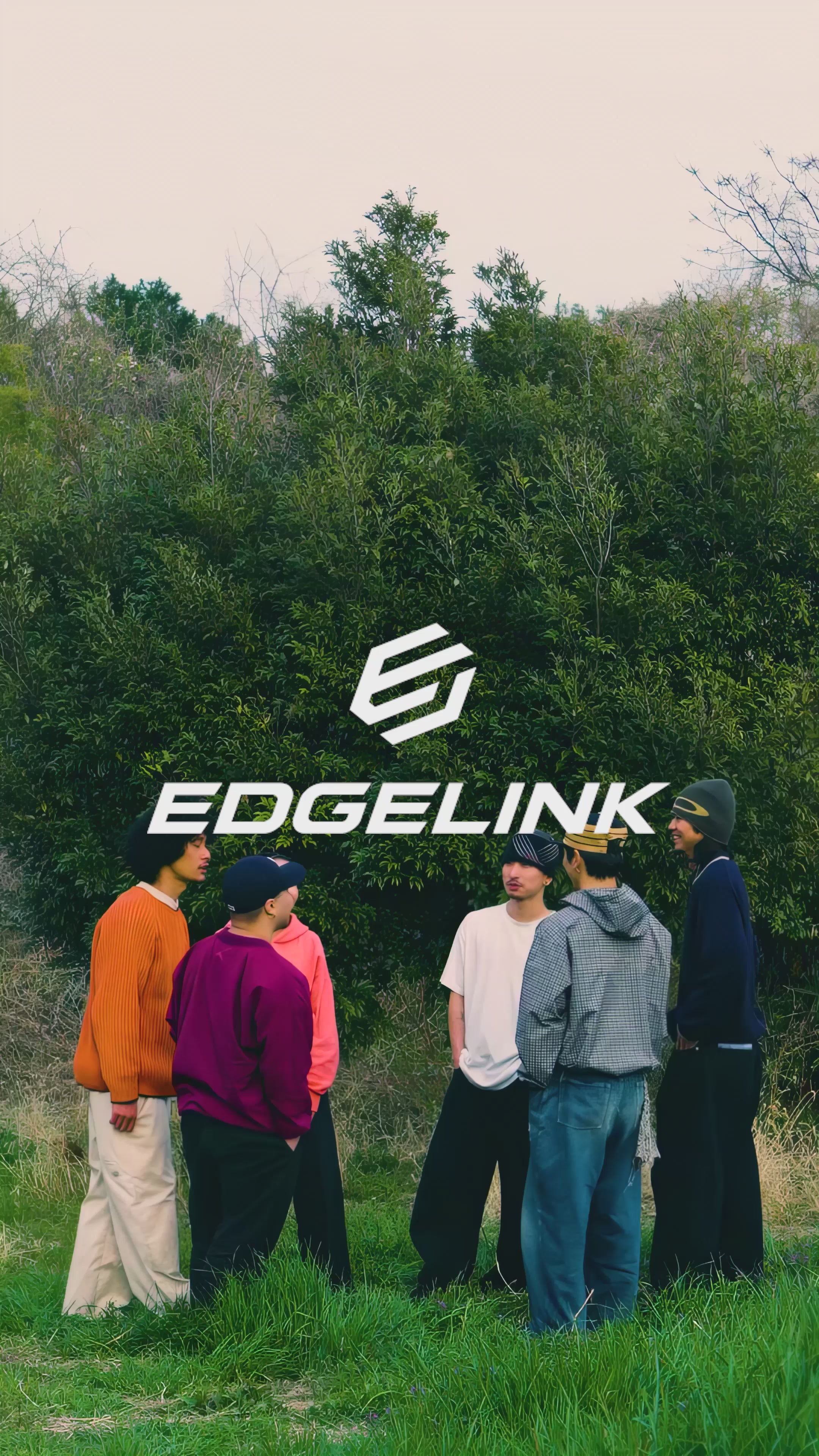 動画を読み込む: 